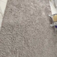 موکت پرز بلند