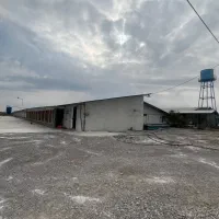 نیروی کار مرغداری