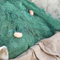 سلام تور شیری نخ 45 چشمه 6/5 تمیز تمیز آماده صید|ماهیگیری|بندر کنگان, |دیوار