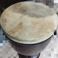 تنبک شیرانی درخت توت