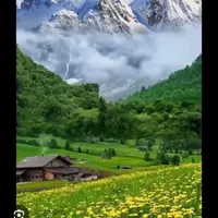 تهرانگردی