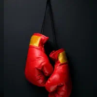 بوکس و کیک بوکسینگ بانوان