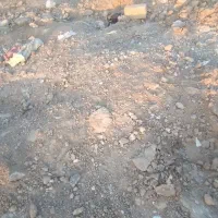 زمین-در-گلدشت-ارغوان-11
