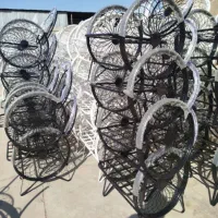 مبلمان باغی