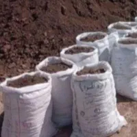 کود گاوی سوخته و خاک باغچه مرغوب درجه 1|خدمات باغبانی و درختکاری|مشهد, عسگریه|دیوار