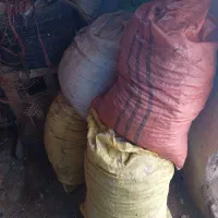 زل کبوتر 8 هزار