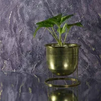 نصب تخصصی و فروش کاغذ دیواری با ضمانت|خدمات پیشه و مهارت|خاش, |دیوار