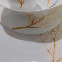 سرویس آرکوپال|ظروف سرو و پذیرایی|قم, سید معصوم|دیوار