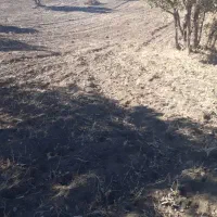 اجاره زمین کشاورزی|اجارهٔ دفتر صنعتی، کشاورزی، تجاری|کوهدشت, |دیوار