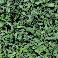 سبزی شسته و خشک بسته‌بندی