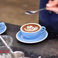 باریستا کافه ژیک