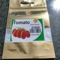 بذر گوجه فرنگی ۲۱۸۰۰ وارداتی