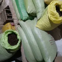 کشمش افتابی سالم|خوردنی و آشامیدنی|نیشابور, فضل|دیوار