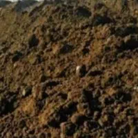 کودگاوی خشک بدون خاک اره|لوازم جانبی حیوانات|ماسال, |دیوار