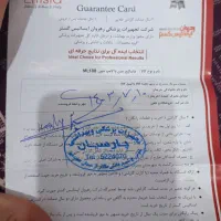 ماساژور EmsiG ML107|پزشکی|شوش, |دیوار