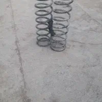 فنر  تیبا  سالم