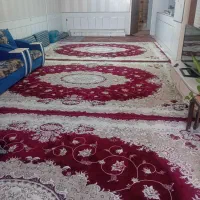 قالی ۱۲متری