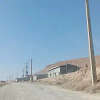 فروش سه هزار متر زمین در شهرک سنگ|فروش دفتر صنعتی، کشاورزی، تجاری|آذرشهر, |دیوار