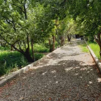 باغچه چهاردیواری ۱۵۰۰ متری در فردوسیه