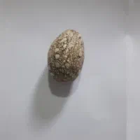 مهربردزندگی تیربندکارداده جذب جنس مخالف امتحان شده