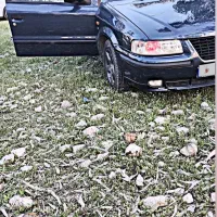 سمند EF7|خودرو سواری و وانت|نورآباد ممسنی, |دیوار