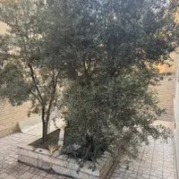 ۸۵ متر/حیاط اختصاصی/مقداد|فروش آپارتمان|تهران, پرستار|دیوار