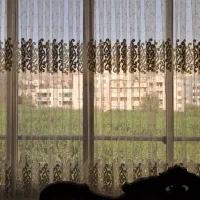 پرده پذیرایی