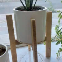 استند گل|کتابخانه، شلف، قفسه‌های دیواری|جیرفت, |دیوار