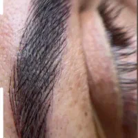 شیدینگ لب|خدمات آرایشگری و زیبایی|شیراز, تندگویان|دیوار