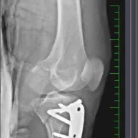 راهنمایی شغلی