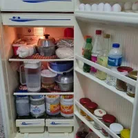 یخچال و فریزر ارج