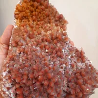 سنگ کلسیت دندان سگی زینتی