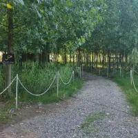 فروش ویلا ناب در دل الماس سبز|فروش خانه و ویلا|آبیک, |دیوار