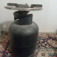 پیک نیک دو قلو
