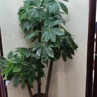 درختچه مصنوعی