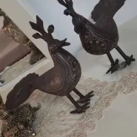 کفترسایز۲نقره کوب علامت وعلم
