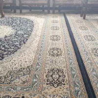 یک جفت قالی 12متری