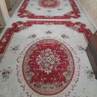 قالی کاشان۷۰۰ شانه|فرش|شیروان (خراسان), |دیوار