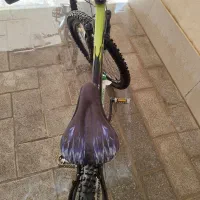 دوچرخه|دوچرخه، اسکیت، اسکوتر|شیراز, ارم|دیوار