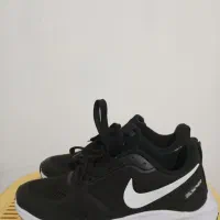 کتانی اورجینال شماره 41