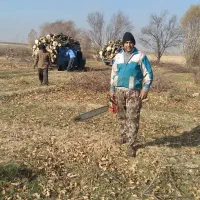 سم پاشی و هرس درختان میوه و باغی و محوطه و منازل