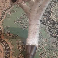 هدرز استیل tu5 اچ زد پاور|قطعات یدکی و لوازم جانبی|یاسوج, |دیوار