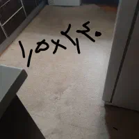 تکه های موکت پالاز رنک کرم نسکافه ای|موکت|تهران, ارامنه|دیوار