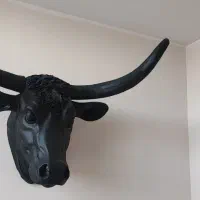 مجسمه گاو بوفالو فایبرگلاس|مجسمه، تندیس، ماکت|قزوین, |دیوار