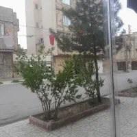 باغدار و نگهدار باغ در خدمتم