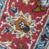 فرش ۴ متری|فرش|بهارستان, |دیوار