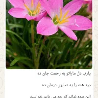 نظافت منزل باغ ویلا صفرتاصد