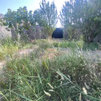 ۲۲۰ متر چهار دیوار با درخت ۱۰ ساله|فروش دفتر صنعتی، کشاورزی، تجاری|بهارستان, |دیوار