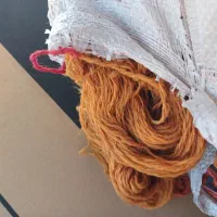 نخ گیاهی