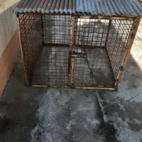 قفس اهنی|لوازم جانبی حیوانات|لاهیجان, بازکیاگوراب|دیوار